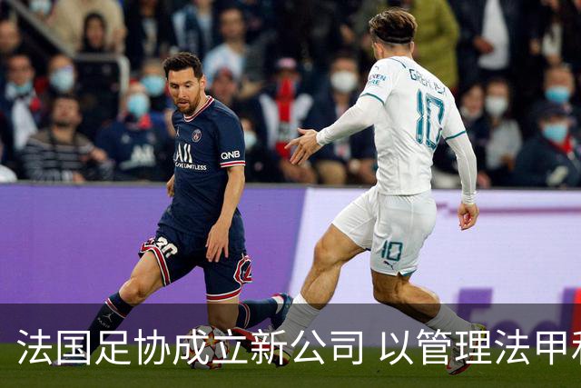 法国足协成立新公司 以管理法甲和法乙的商业权益
